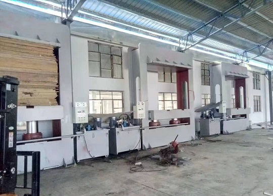 plywood cold press machine