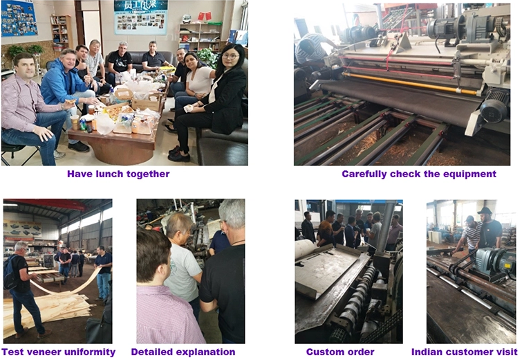 veneer rotary cutting machine