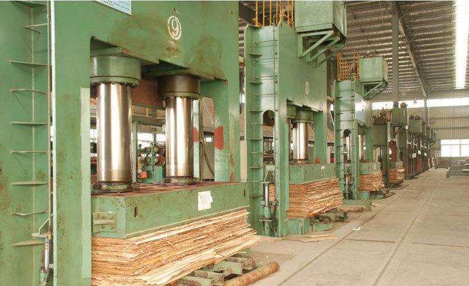 plywood cold press machine