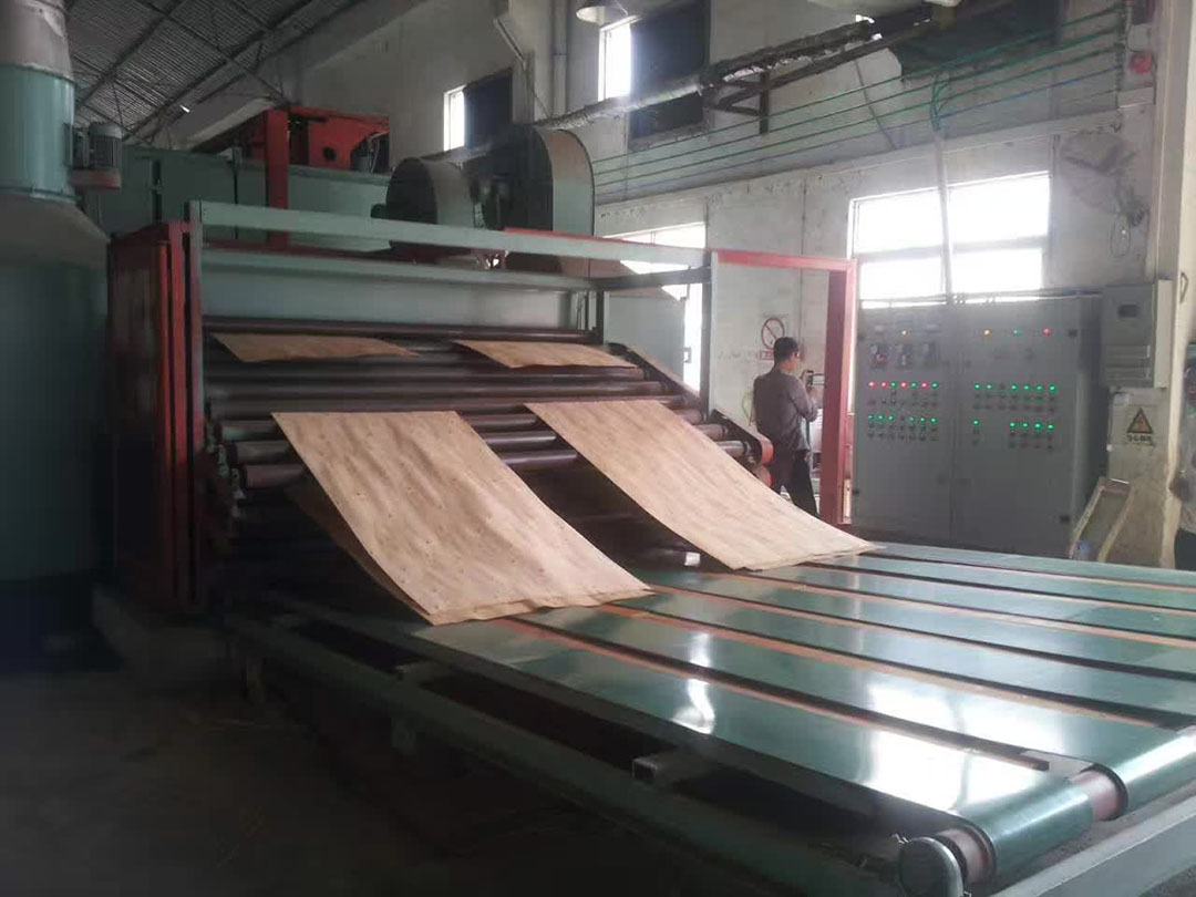 veneer roller dryer 2